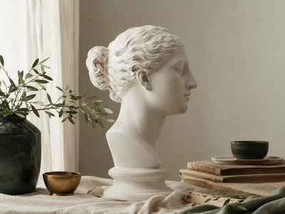 Cosmetic Surgery — Face
