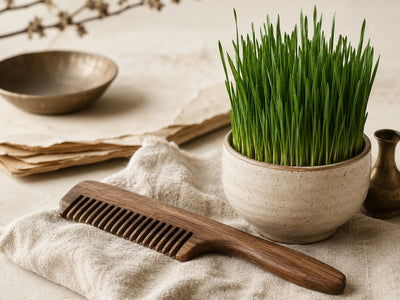 Hair Restoration & Hair Loss