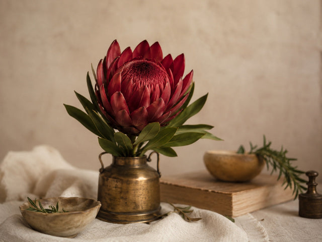 Heart & Cardiovascular Health