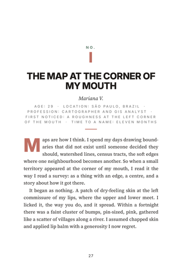 Sample page 3 from Around the Mouth: Perioral Dermatitis Recovery Stories