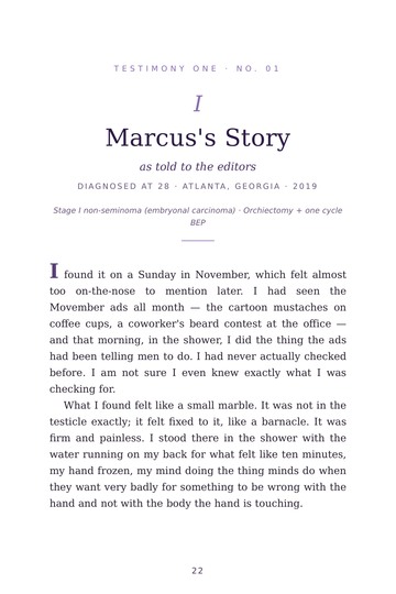 Sample page 4 from Below the Belt: Testicular Cancer Stories