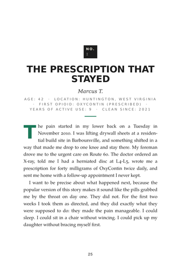 Sample page 1 from Breaking Chains: Opioid Recovery Stories
