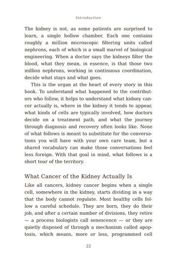 Sample page 5 from Filtered Through Fire: Kidney Cancer Stories