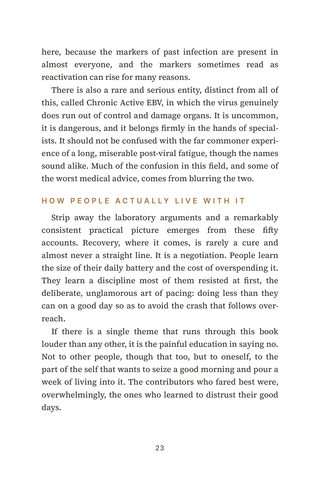 Sample page 2 from Viral Persistence — a first-person Chronic Mono / EBV Reactivation story